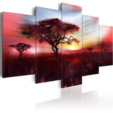  Slika - Wild savannah 100x50 | shoptok.hr