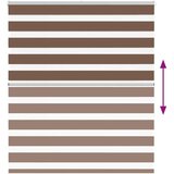 vidaXL zebra senčilo rjave 125x150 cm tkanina širina 120,9cm poliester | Shoptok.si