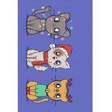 Conceptum Hypnose tepih (160x230) WOOKECE155 | ePonuda.com