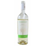 San Marzano Chardonnay belo vino 0,75l | Eponuda.com