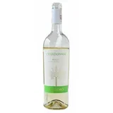 Chardonnay belo vino 0,75l