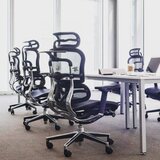 Olimp Sport Radna fotelja ERGOHUMAN | Eponuda.com