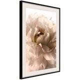  Poster - Bloom 30x45 | shoptok.hr