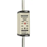 NH varovalka SG NH1GG50V100-1, (21040740)