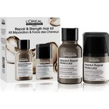 L´Oréal Paris Serie Expert Absolut Repair Molecular poklon set Cijene