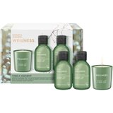 Baylis & Harding Wellness. Energise poklon set Ginger, Lime & Basil Leaf Cijene