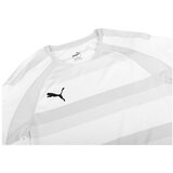Puma Teamvision sarena | shoptok.hr