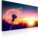  Slika - Freedom of Nature 120x80 | shoptok.hr