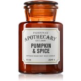 Paddywax Apothecary Pumpkin Spice dišeča sveča 226 g | Shoptok.si