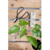 Esschert Design Steklena vaza (višina 12 cm) Natural History – | Shoptok.si