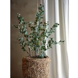 Bloomingville Umetni evkaliptus (višina 117 cm) – | Shoptok.si