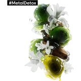 L´Oréal Paris Metal Detox Professional Pre-Shampoo Treatment 250 ml šampon barvani lasje vse vrste las za ženske | Shoptok.si