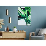  Slika za samostalno slikanje - Monstera Adansonii 40x60 | shoptok.hr