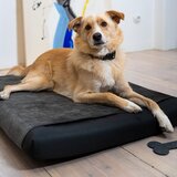 Rexproduct črno ortopedsko ležišče za pse 90x70 cm ori xl | Shoptok.si