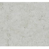 AS Creation Metropolitan Stories Tapeta (Betonski videz, 10,05 x 0,53 m) | Shoptok.si