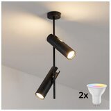 Brilagi LED RGBW prigušiva luster na šipci BRANCH 2xGU10/6,5W/230V crna Cene