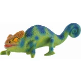 Safari - Kameleon