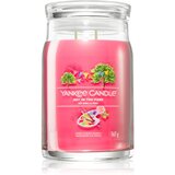 Yankee Candle Art In The Park dišeča sveča Signature 567 g Cene