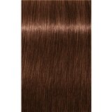 Schwarzkopf igora Royal - 6-68 temno blond čokoladno rdeča, 60 ml | Shoptok.si