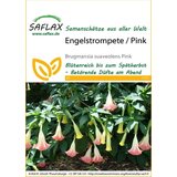 Saflax Kristavec / roza Cene