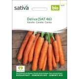 Sativa Bio korenje Nantaise - 1 pkt. Cene