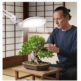 Extol LED prigušiva stona lampa sa lupom LED/10W/230V bela | Eponuda.com