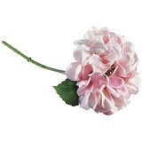 RAYHER Hortenzija, sv.roza, 33cm, (20728287) | Shoptok.si