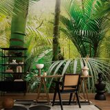  Foto tapeta - Green alley 196x140 | shoptok.hr