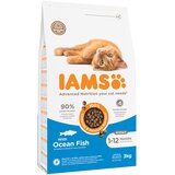  10 % popusta na IAMS suho hrano za mačke 3 kg! - Vitality Kitten z morsko ribo | shoptok.hr