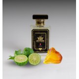 Tokatli Muški parfem Carbon moon, EDP, 50 ml Cene