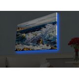 Wallity Zidna slika sa LED osvetljenjem 4570HDACT-060, 45x70 cm | Eponuda.ba