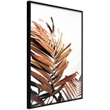  Poster - Copper Palm 40x60 | shoptok.hr