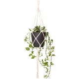 tekstilna vrv za obešanje cvetličnih loncev ø 13 cm (višina 100 cm) Macramé –