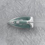 Tefal pegla na paru FV2C42 | ePonuda.com
