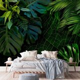  Foto tapeta - Dark Jungle 343x256 | shoptok.hr