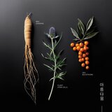 KORIKA Korean Heritage Ginseng & Marine Stem Cells Cell Renew Eye Cream hidratantna krema za pomlađivanje za okoloočno područje 15 ml | shoptok.hr