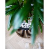 Capi Korito Groove 35x34 črna in zlata | Shoptok.si