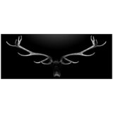 ProArt Steklena slika (Deer Antler, Š x V: 125 x 50 cm) | Shoptok.si
