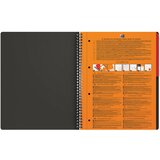 Blok KOLEGIJ A4 KARO 80L PERFORACIJA PLUS 4RUPE ACTIVEBOOK OXFORD 100104329 | Shoptok.si