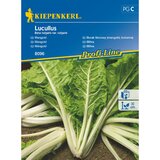 KIEPENKERL Sjeme povrća blitva Lucullus (Beta vulgaris var. vulgaris, Berba: Svibanj) Cijene