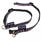 Pet Line ogrlica apricot toy poodle | ePonuda.com