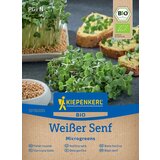 KIEPENKERL BIO Microgreens bela gorčica - 1 pkt. | Shoptok.si