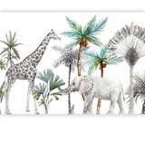  Foto tapeta - Jungle Animals Wallpaper for Children\'s Room in Cartoon Style 500x350 Standard | shoptok.hr