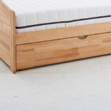 Livetastic RAZTEGLJIVA POSTELJA 90 cm x 200 cm , barve bukve | Shoptok.si