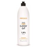 Prosalon Hidrogen za kosu COLOR ART OXIDANT 1,9% (6 vol.) 900 g Cijene