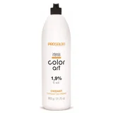 Prosalon Hidrogen za kosu COLOR ART OXIDANT 1,9% (6 vol.) 900 g