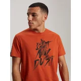 Diverse Men's printed T-shirt DKR D 0623
