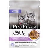 Purina pro plan vlažna hrana za mačiće ćuretina 85g Cene