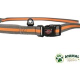 Trixie Povodac za pse za trčanje, dužina povoca 1,3m-1,8m Trixie | Eponuda.com