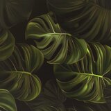  ormar ELBURG 69 x 33 x 50,5 cm Crni hrast Konstruirano drvo | shoptok.hr